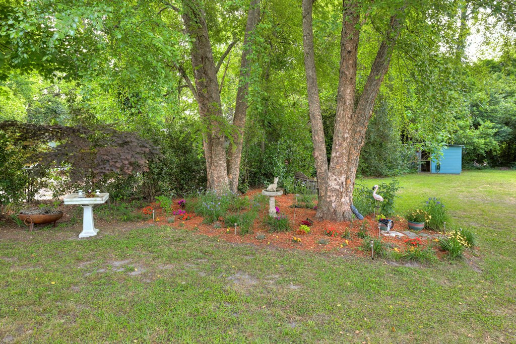 340 West Calhoun Street Sumter, SC 29150 - Photo 13 of 62 Gallery Image 13