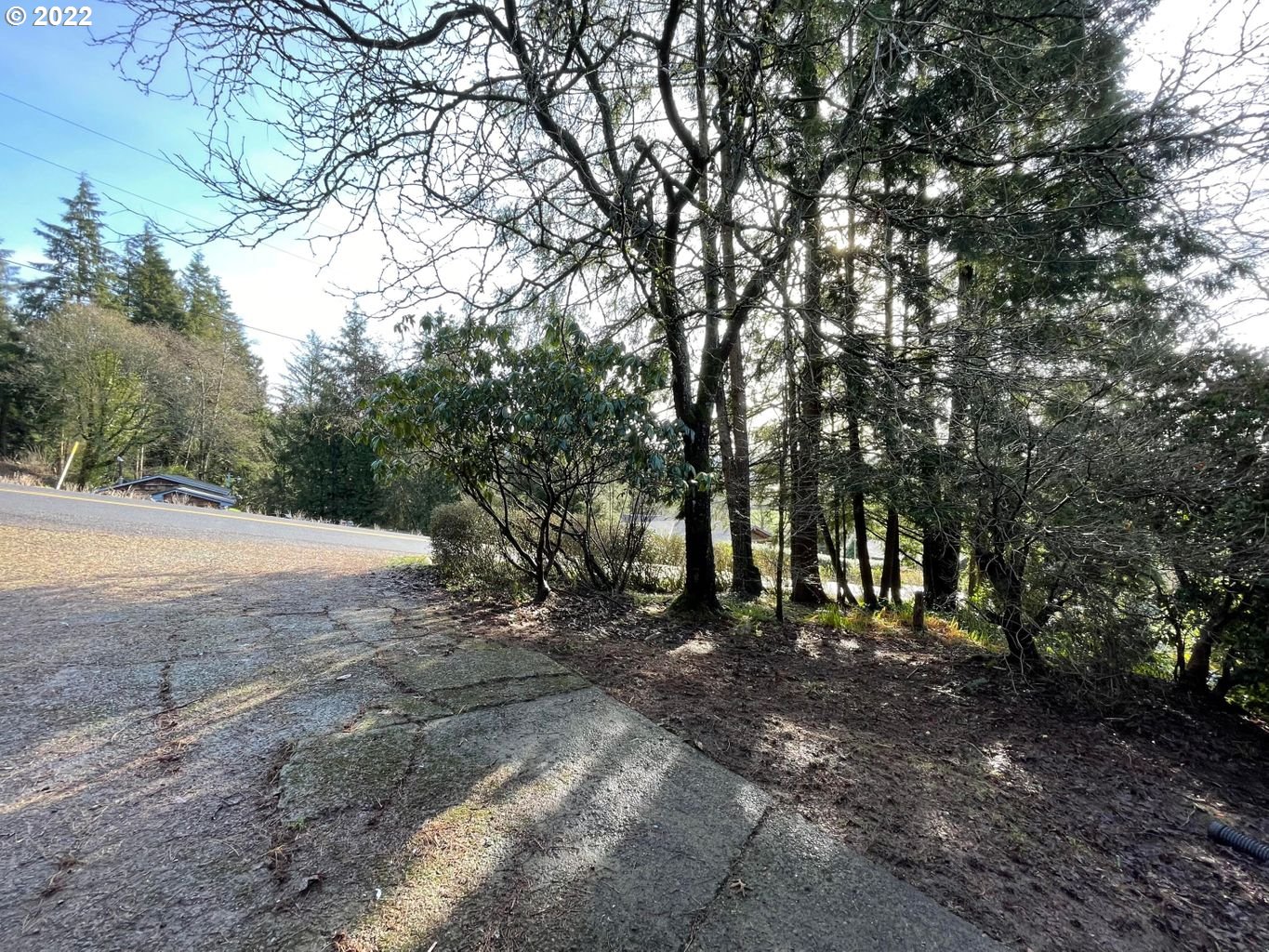 3240 Aldercrest Road Tillamook, OR 97141 - Photo 3 of 31 Gallery Image 3