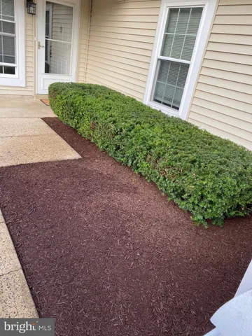 a view of a backyard with plants