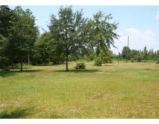 26305 Old Americus Road Lucedale, MS 39452 - Photo 23 of 25 Additional Photo