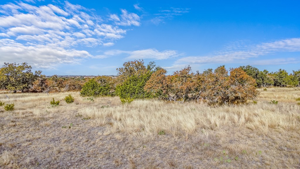 234 Lower Reservation Road Harper, TX 78631 - Photo 12 of 17