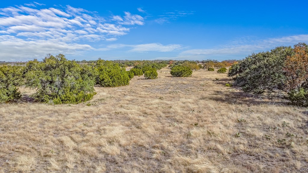 234 Lower Reservation Road Harper, TX 78631 - Photo 17 of 17