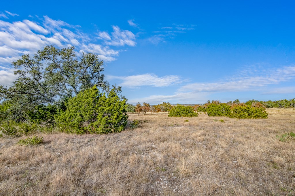 234 Lower Reservation Road Harper, TX 78631 - Photo 4 of 17