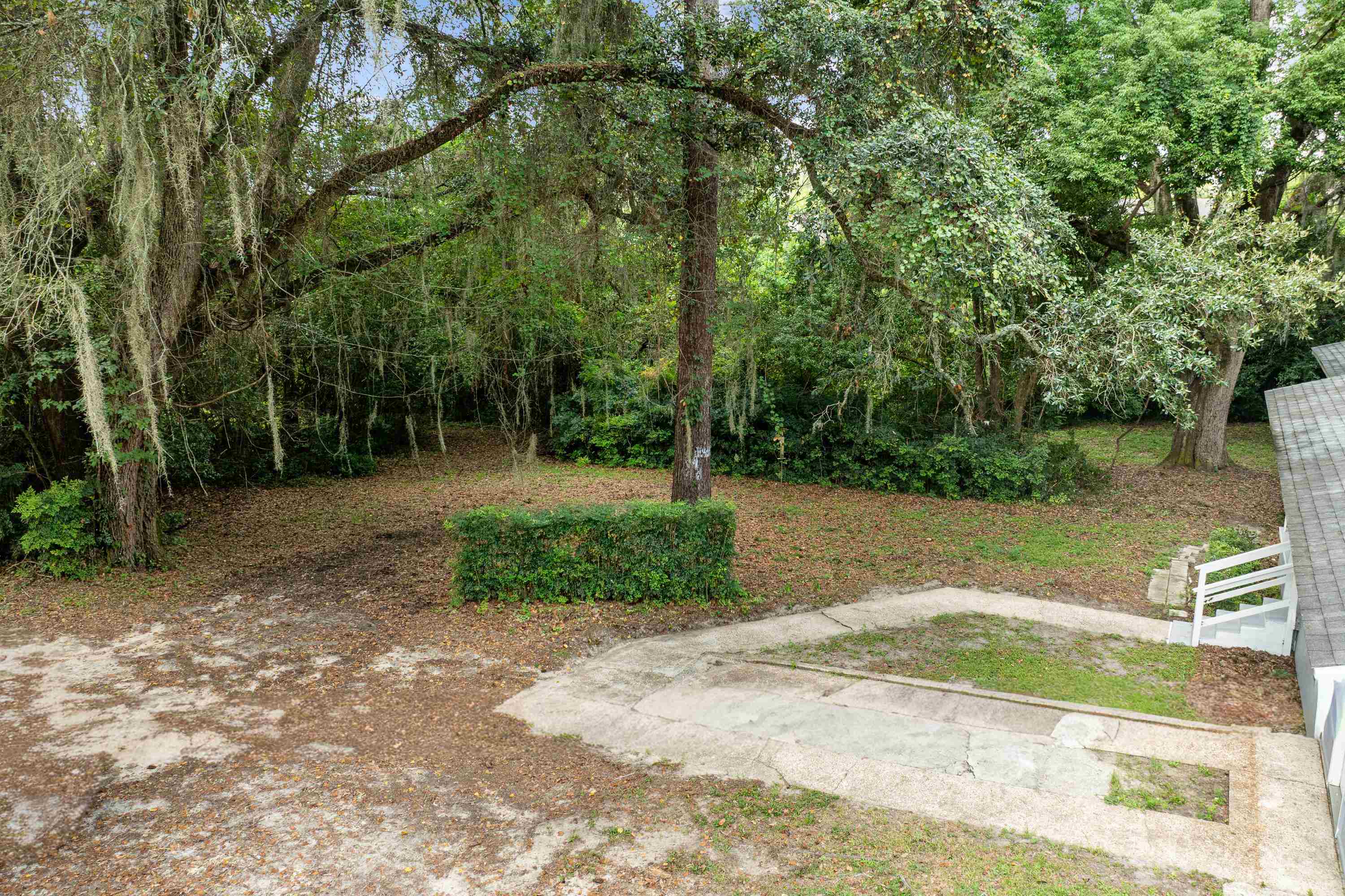 3214 Dian Road Tallahassee, FL 32304 - Photo 7 of 37 Gallery Image 7