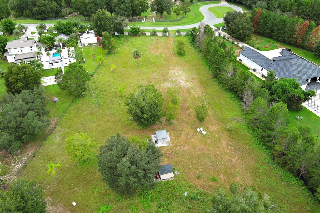 34534 Tree Frog Lane Eustis, FL 32736 - Photo 5 of 17 a view of a garden