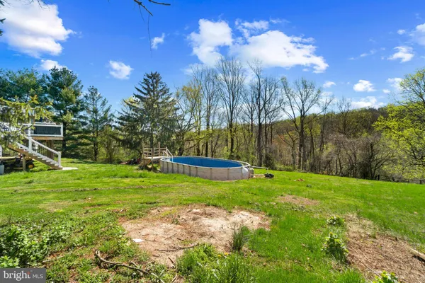 a view of a park with large trees