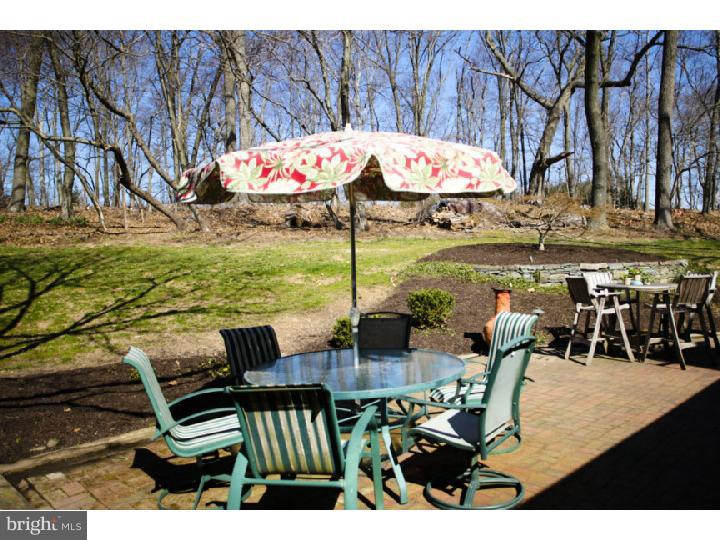 6721 Upper York Road New Hope, PA 18938 - Photo 16 of 16 Back Yard