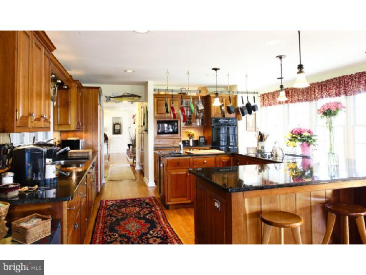 6721 Upper York Road New Hope, PA 18938 - Photo 5 of 16 Kitchen