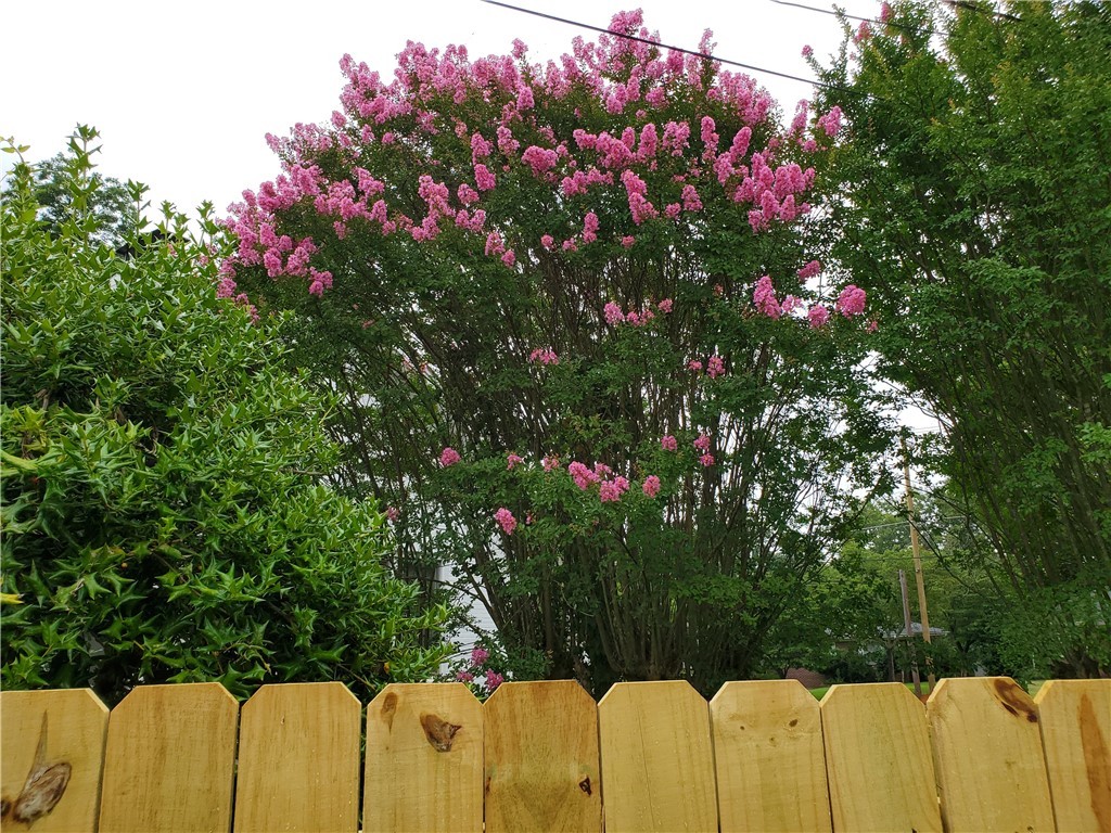 202 James Street Anderson, SC 29621 - Photo 32 of 42 Blooming Crepe myrtle trees inside the yard