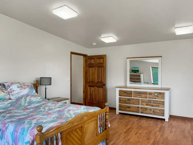 a bedroom with a bed and a closet