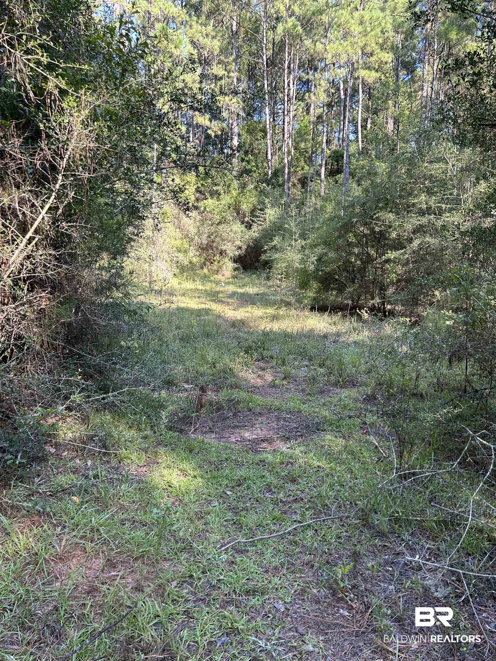 0 Quinley Road Bay Minette, AL 36507 - Photo 4 of 6