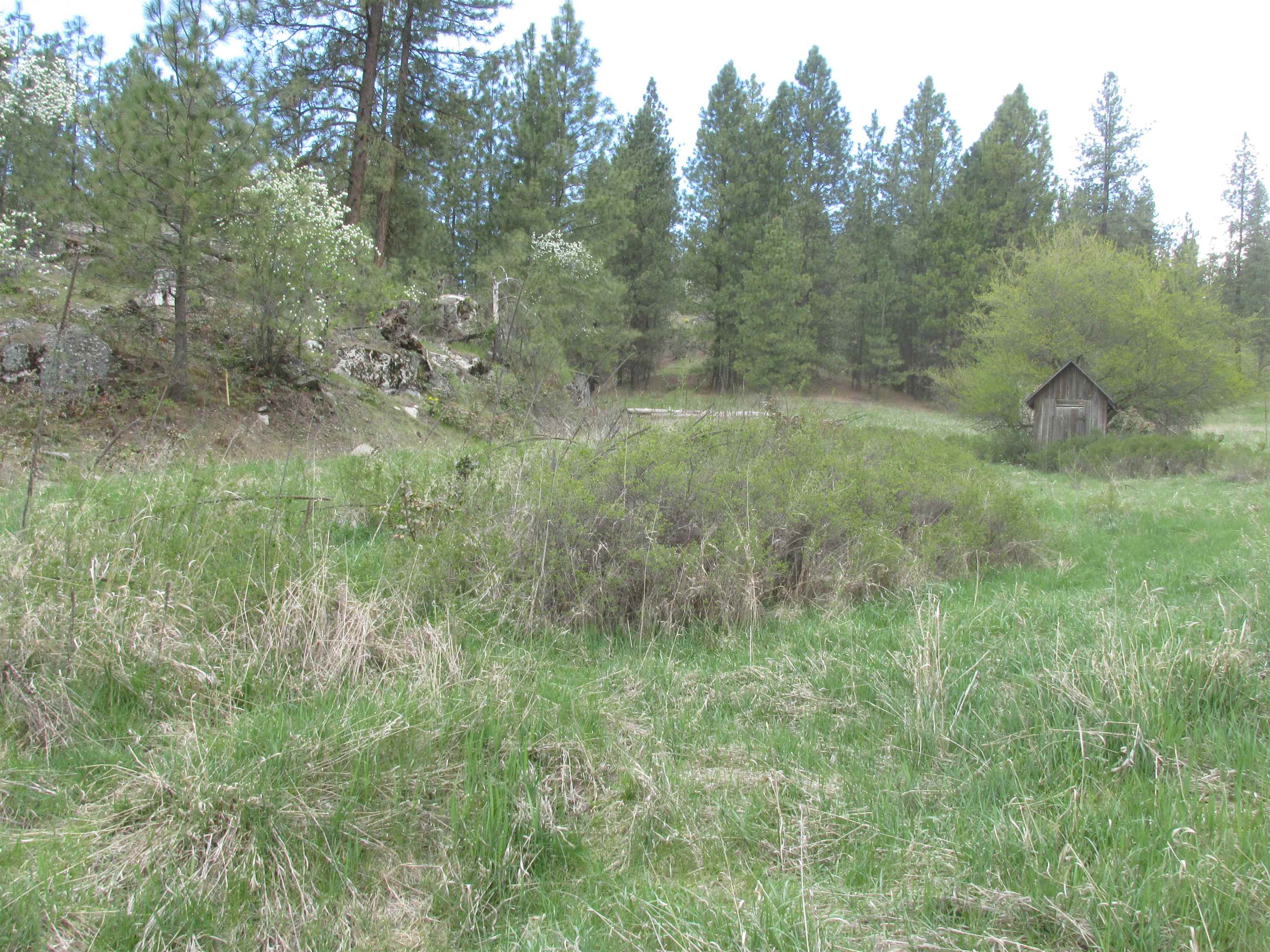 1011 Westover Road Colville, WA 99114 - Photo 1 of 5 Gallery Image 1