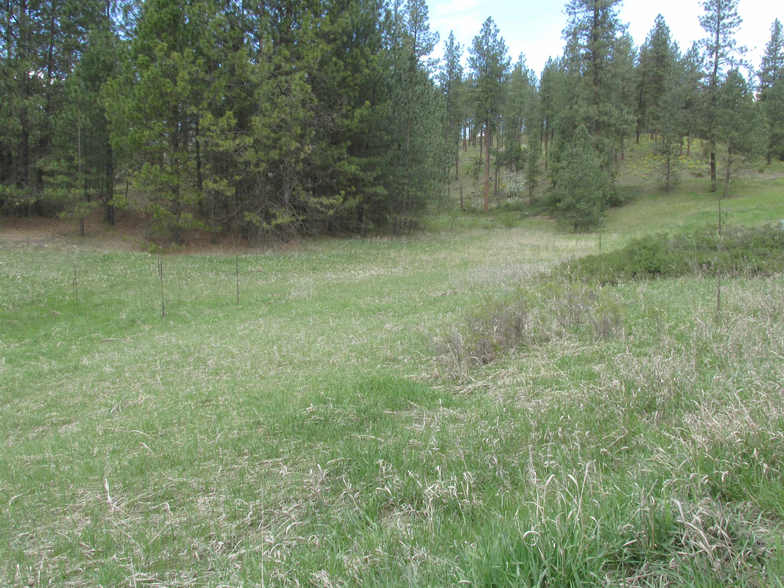 1011 Westover Road Colville, WA 99114 - Photo 3 of 5 Gallery Image 3