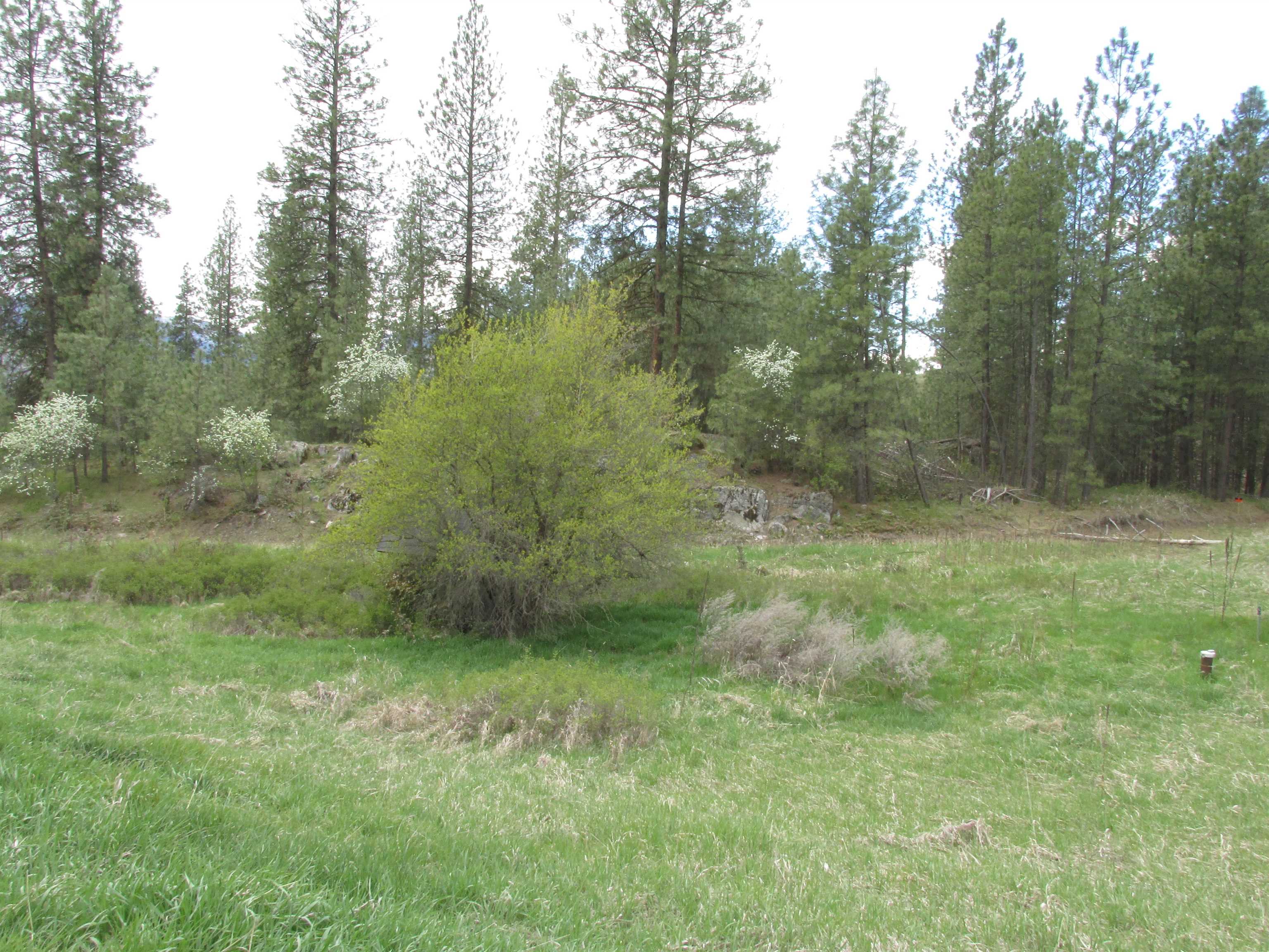 1011 Westover Road Colville, WA 99114 - Photo 4 of 5 Gallery Image 4