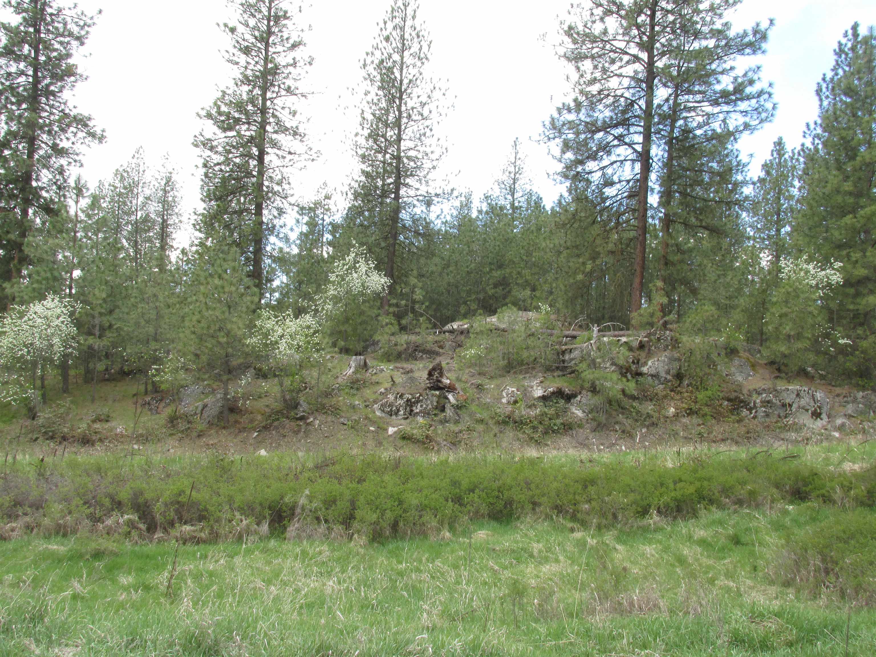1011 Westover Road Colville, WA 99114 - Photo 5 of 5 Gallery Image 5