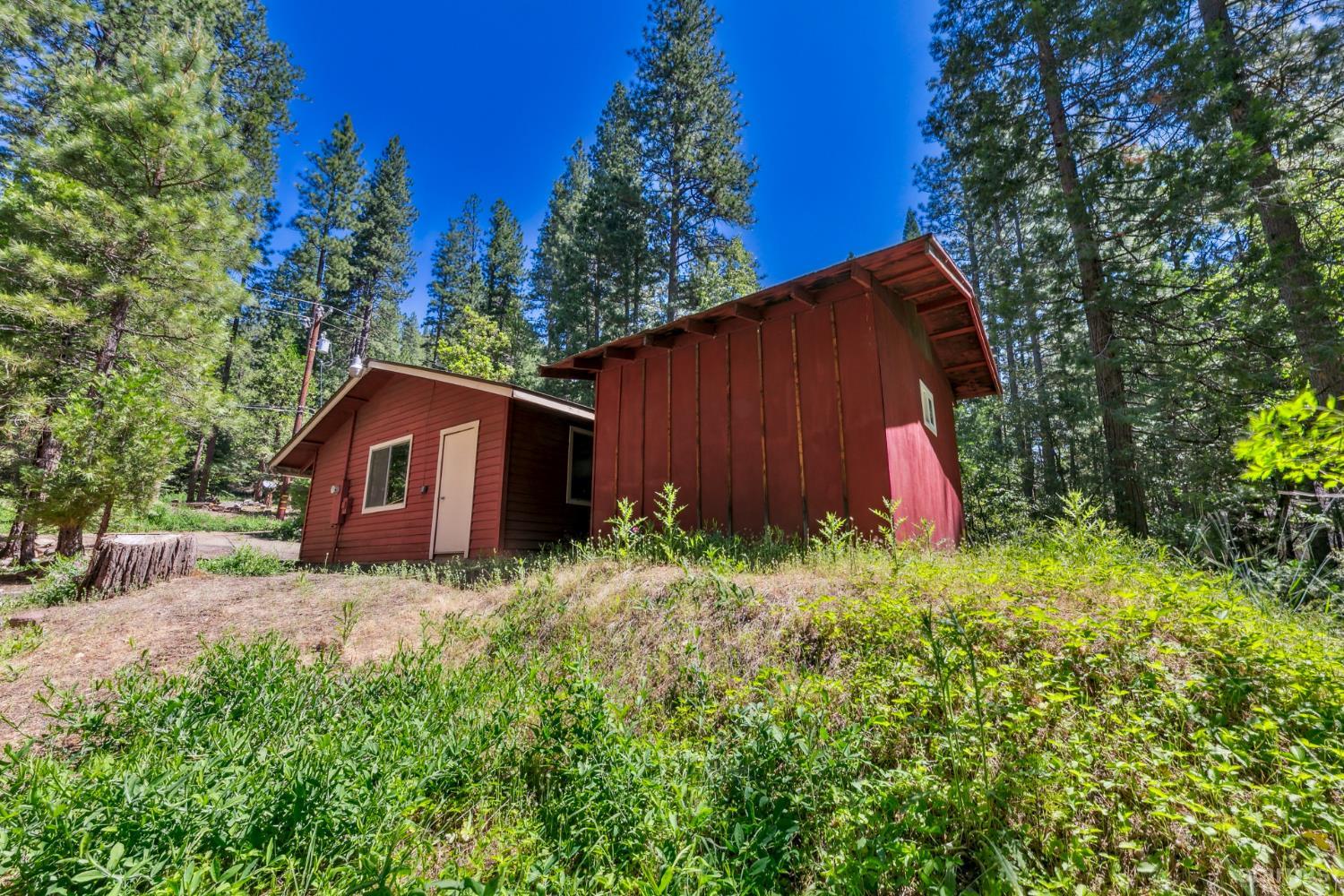11523 Pickwick Street Kyburz, CA 95720 - Photo 6 of 24 a backyard of a house with lots of green space