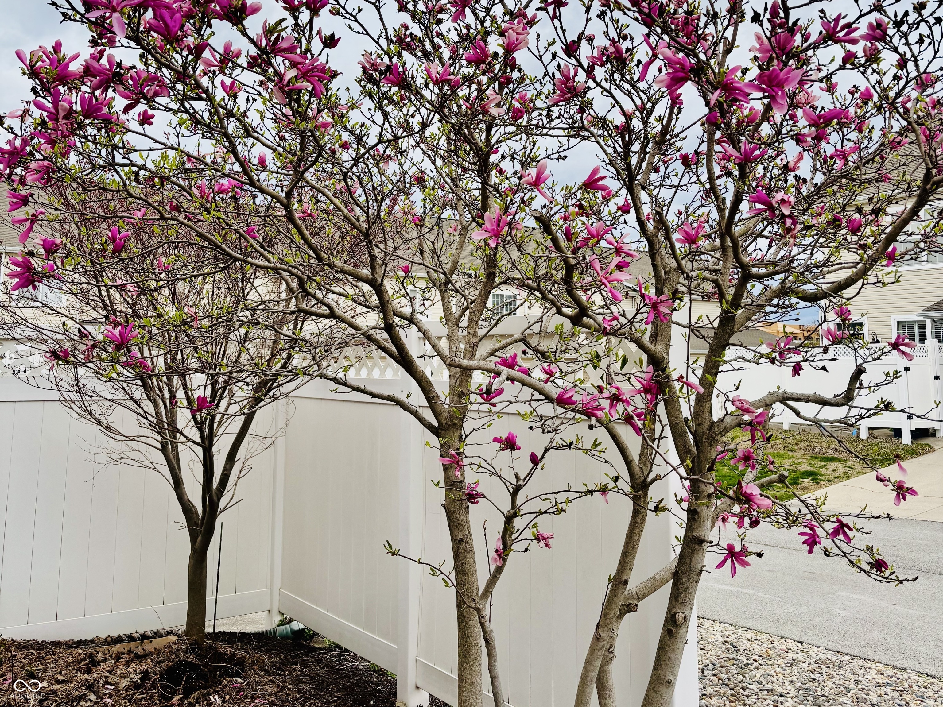 13492 East 131st Street Fishers, IN 46037 - Photo 27 of 36