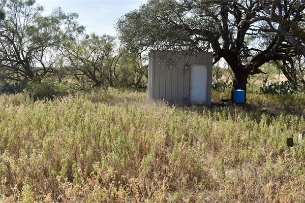 a view of a yard