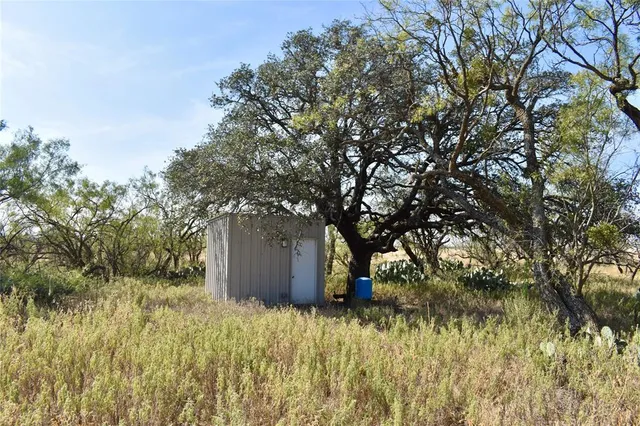 a view of outdoor space and trees
