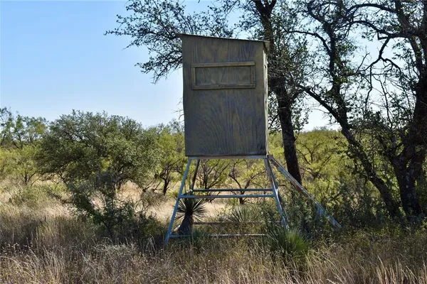 a view of a yard with wooden fence