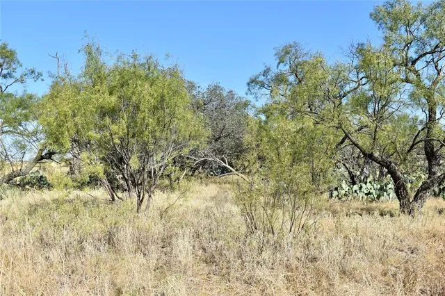 $690,842 | 85 Private Road 527, Melvin, TX 76858