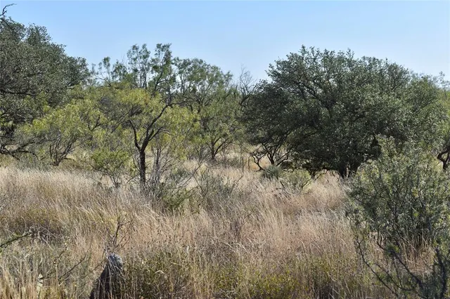 $690,842 | 85 Private Road 527, Melvin, TX 76858