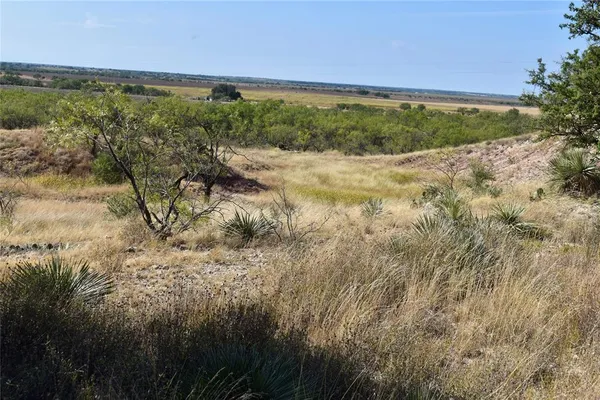 a view of a field with an ocean view