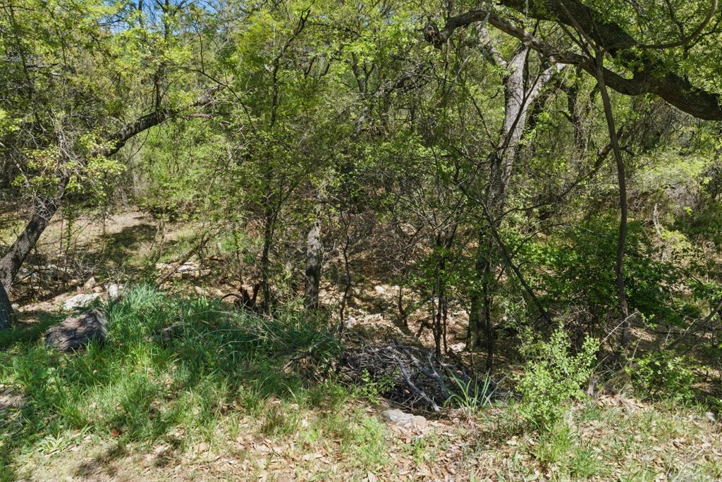247 Gopher Road Weatherford, TX 76088 - Photo 33 of 35 a view of a forest with lush green forest