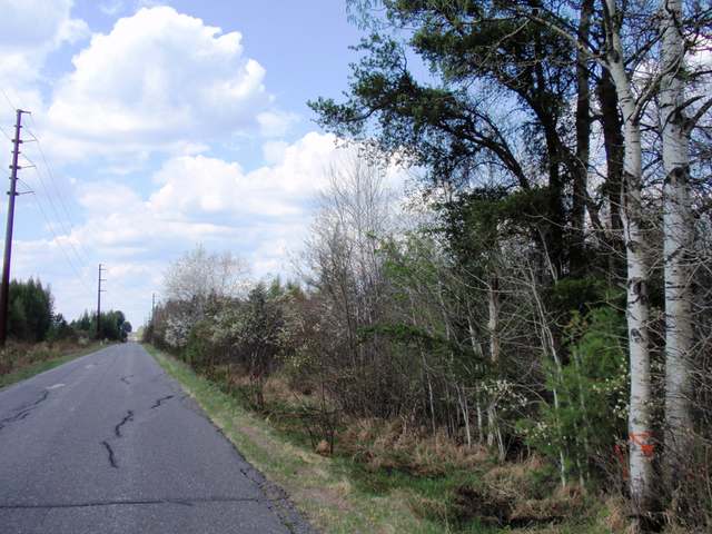 Near Adams Road Eagle River, WI 54521 - Photo 10 of 37 Gallery Image 10