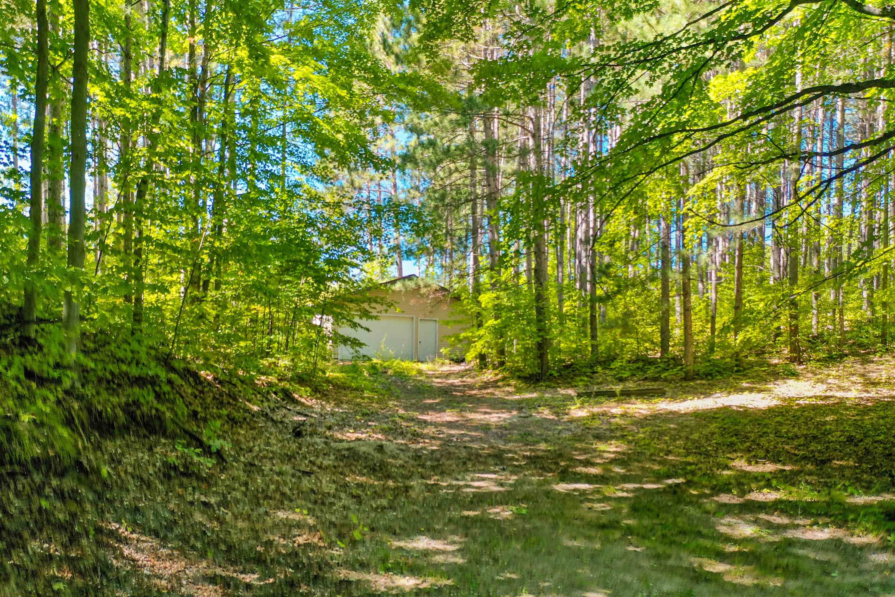 2941 No 45 Road Manton, MI 49663 - Photo 5 of 48 Gallery Image 5