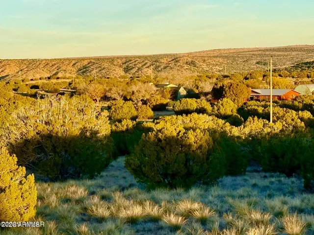 a view of a yard with an ocean view
