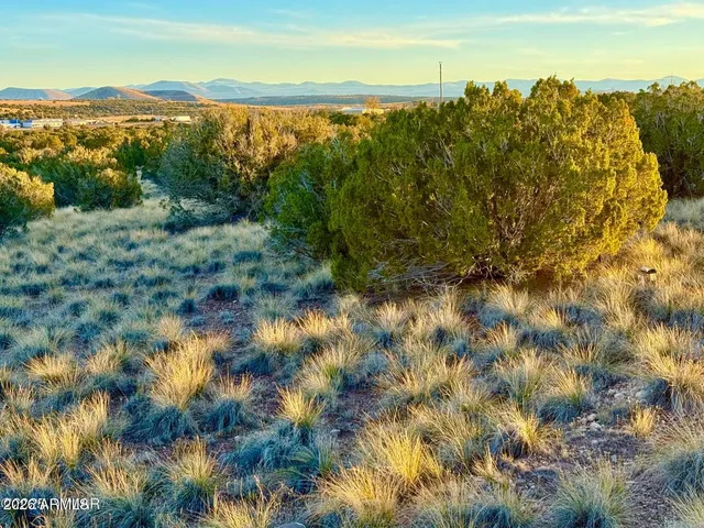 $8,000 | 136 Zuni Drive, Concho, AZ 85924