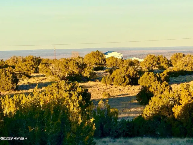 $8,000 | 136 Zuni Drive, Concho, AZ 85924