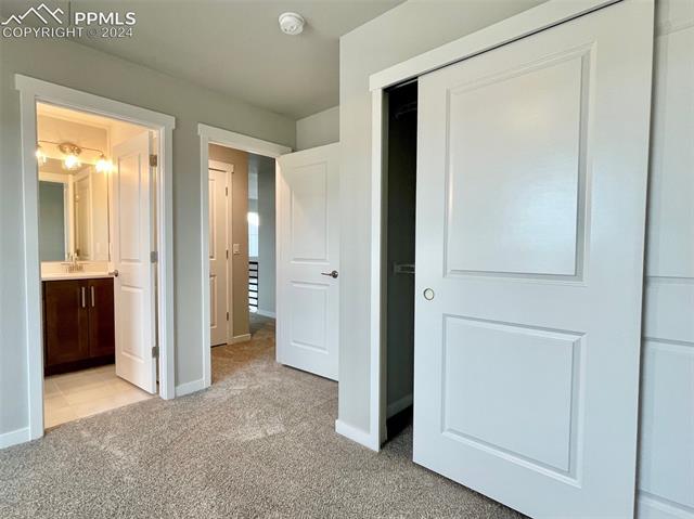 17738 Lemon Rye Loop Monument, CO 80132 - Photo 11 of 21 Gallery Image 11
