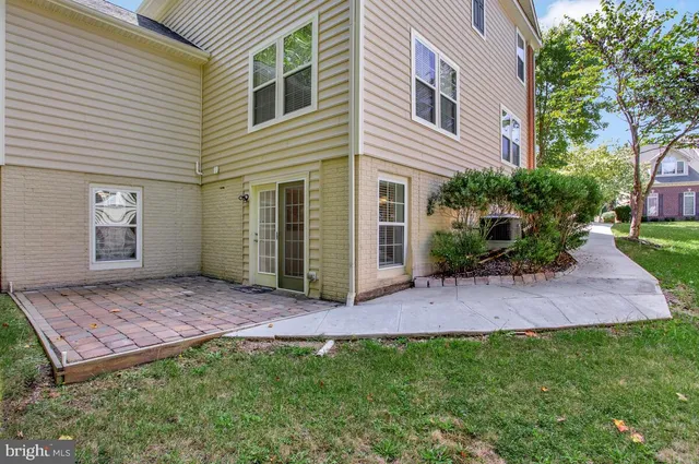 a view of a backyard with plants and large tree