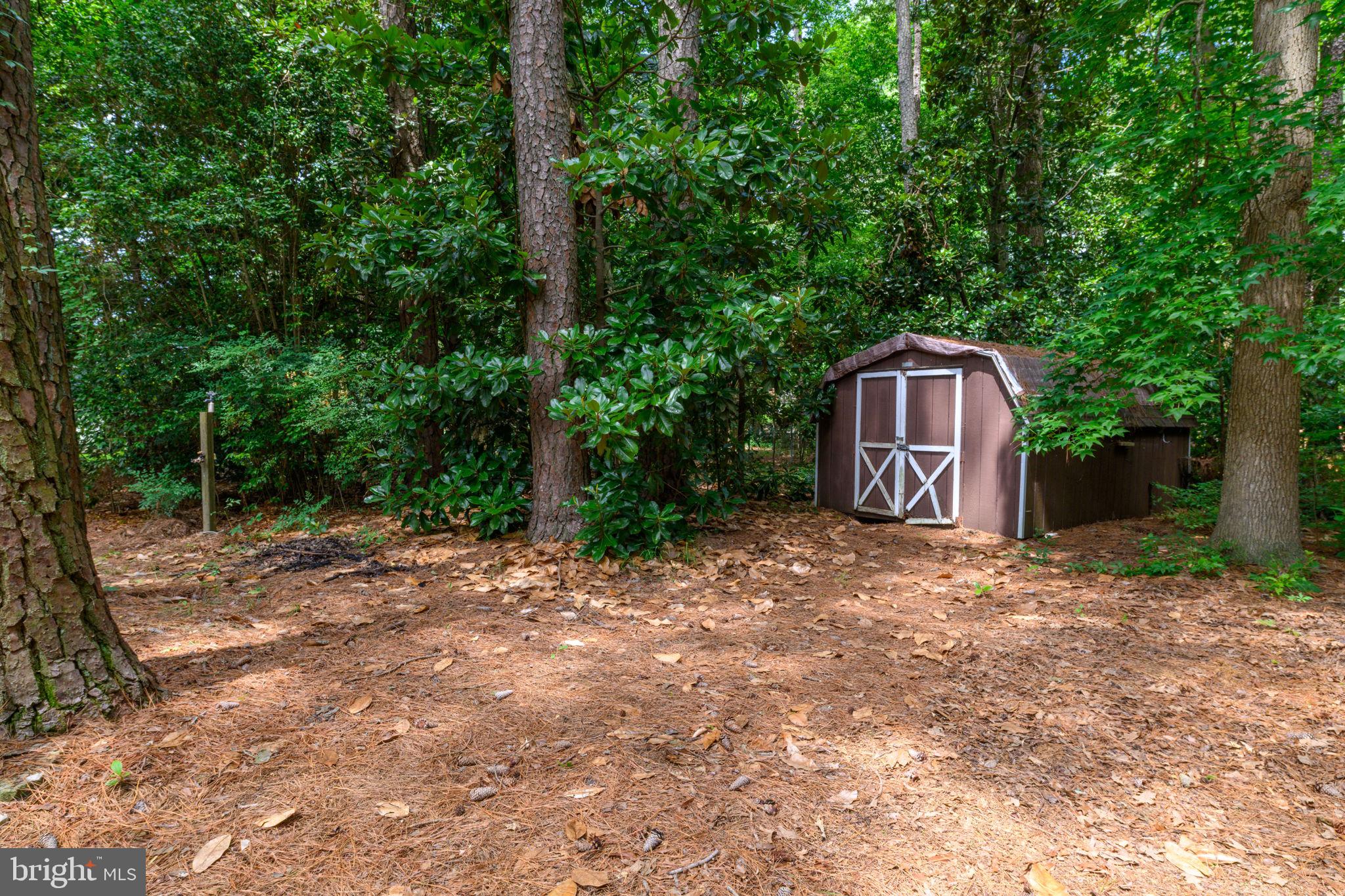 621 Douglas Road Salisbury, MD 21801 - Photo 47 of 62
