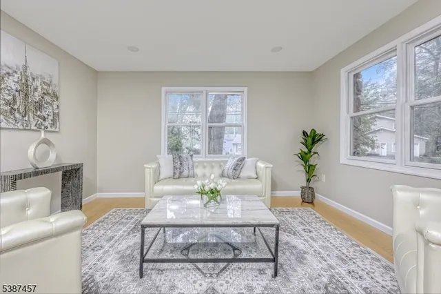 a living room with furniture and a potted plant