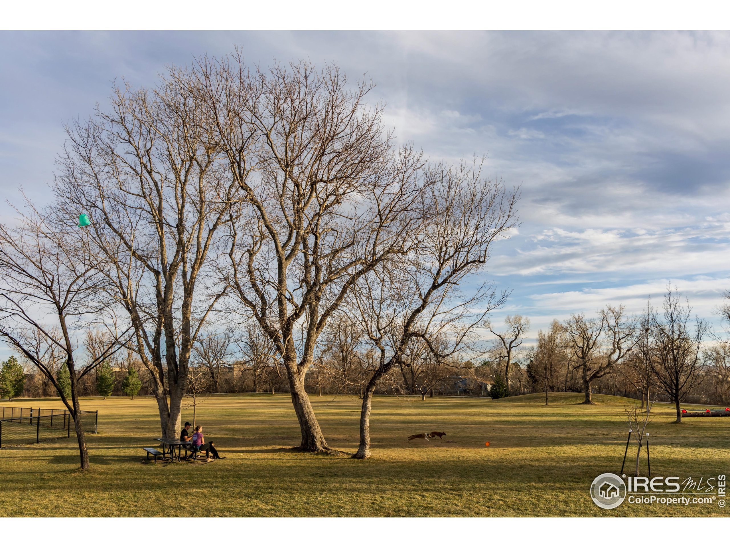 3295 34th Street, Unit 68 Boulder, CO 80301 - Photo 22 of 27