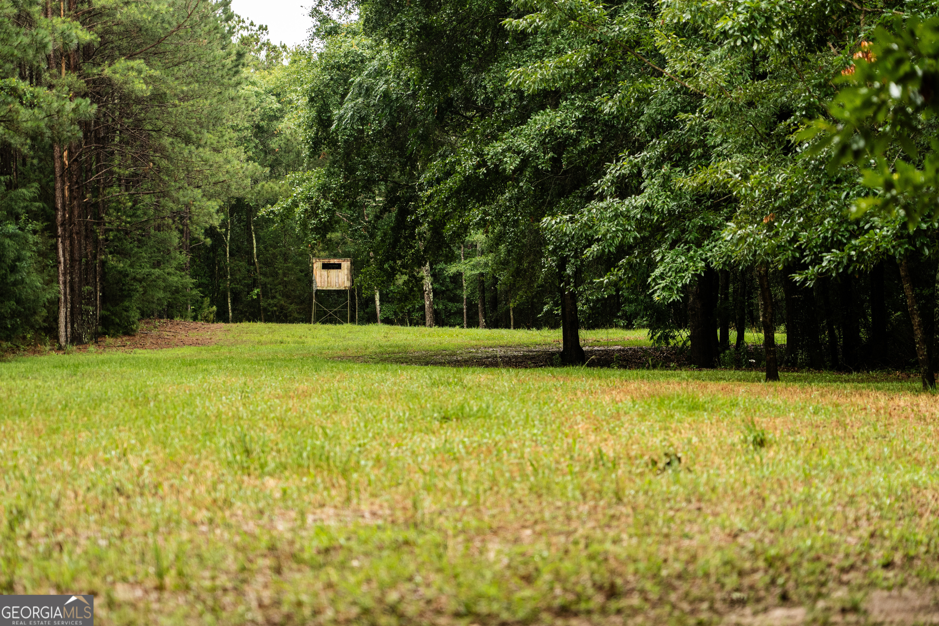 990 Highway 49 Americus, GA 31719 - Photo 66 of 121