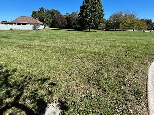 a view of a field with an ocean view