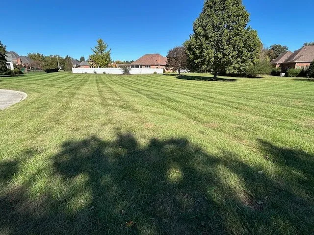 a view of a field of grass and trees