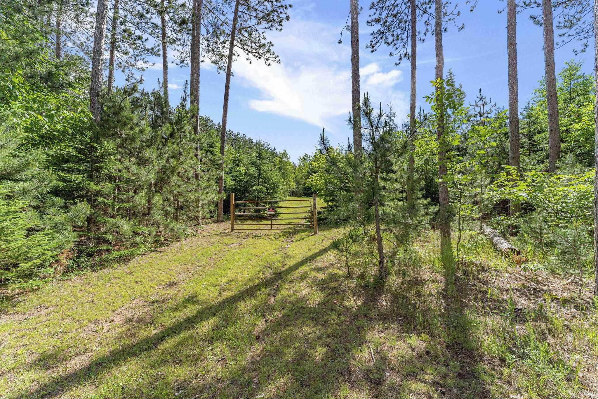 8767 Rustic Lane Southwest Fife Lake, MI 49633 - Photo 2 of 28