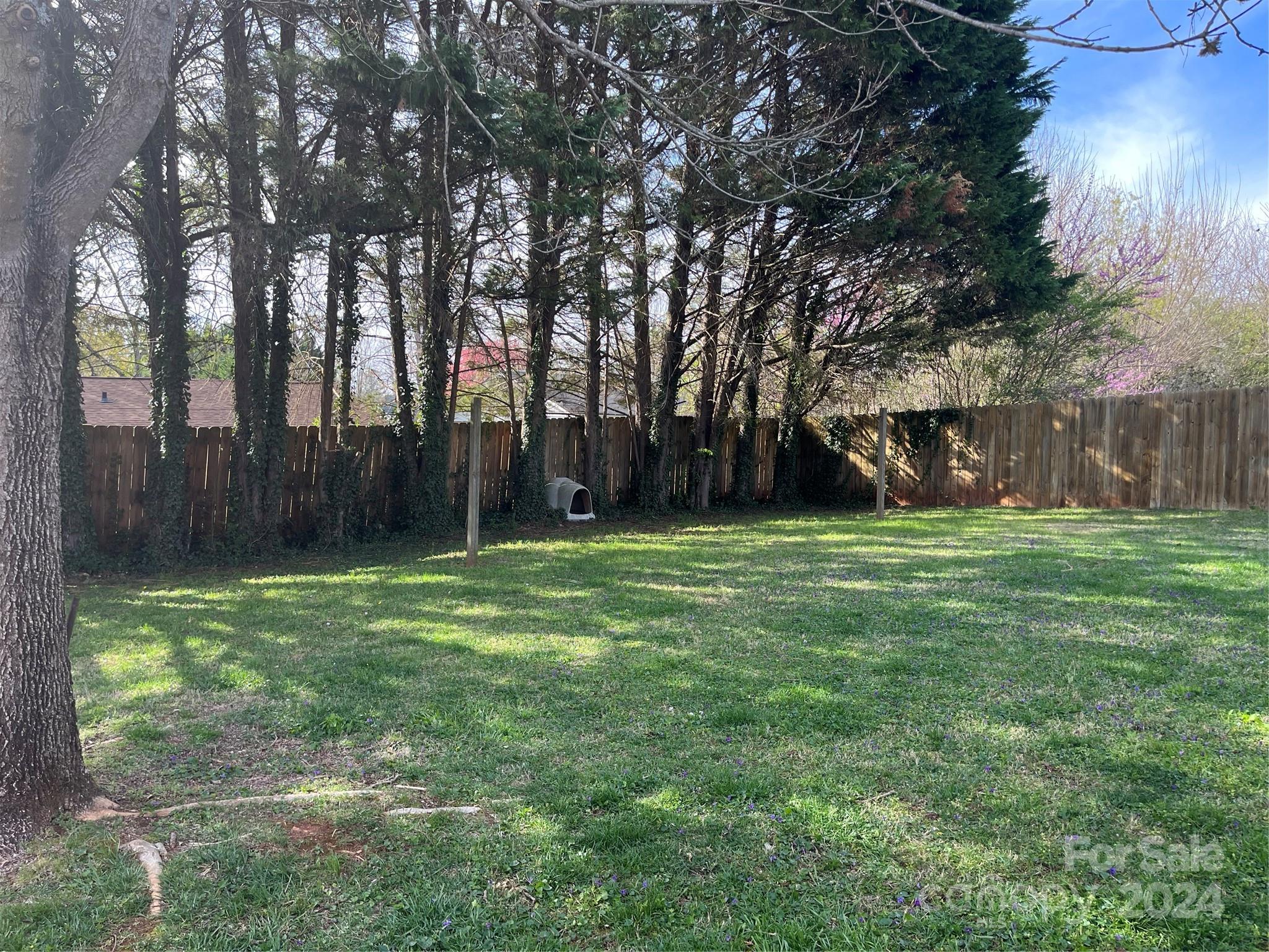 108 North Street Morganton, NC 28655 - Photo 11 of 12 a view of a yard with a trees in the background