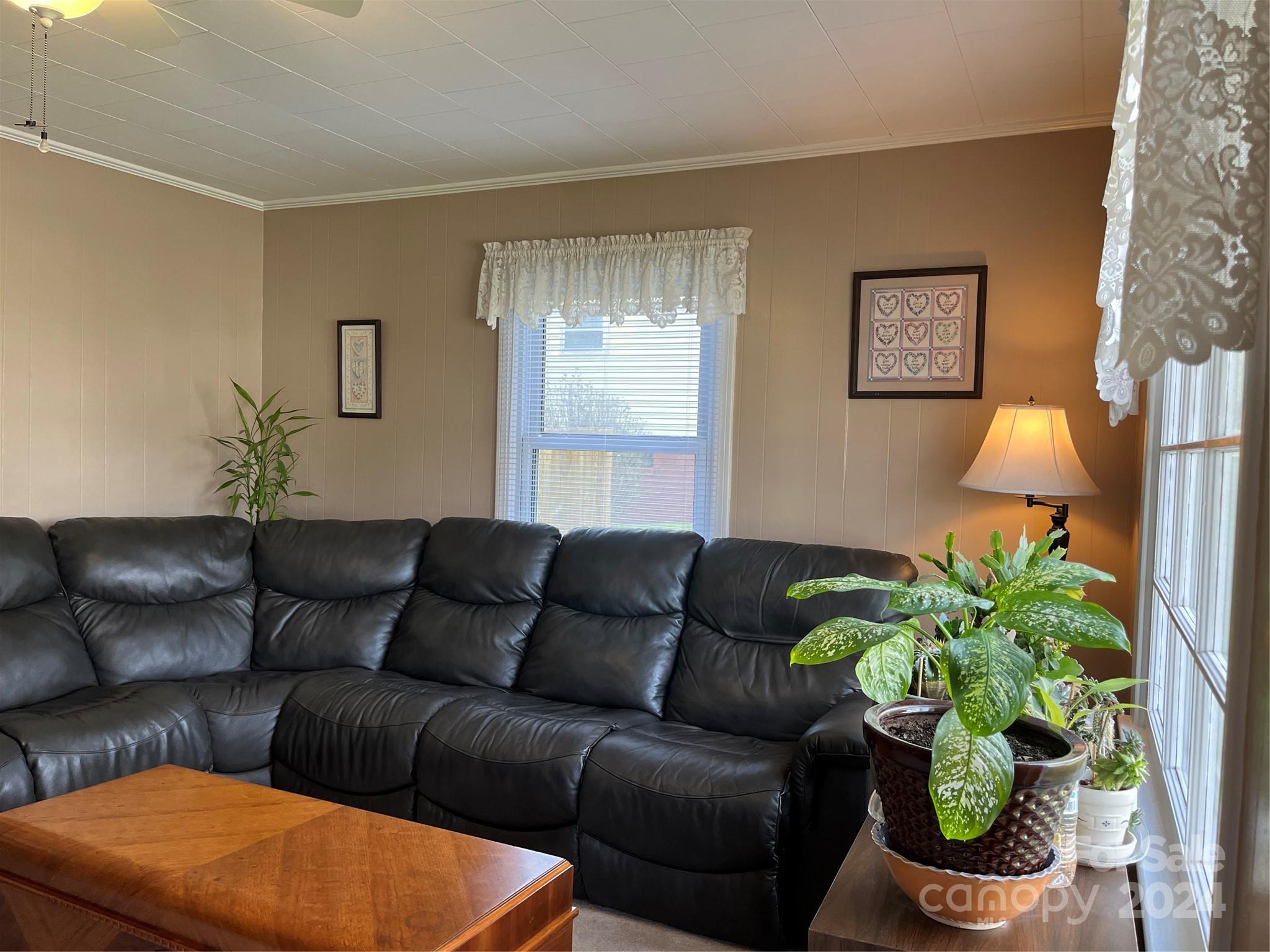 108 North Street Morganton, NC 28655 - Photo 2 of 12 a living room with furniture and a potted plant
