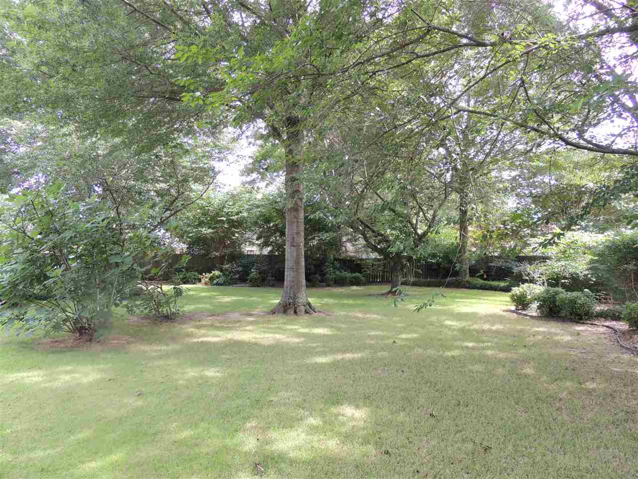 7009 Deerfield Road Bartlett, TN 38135 - Photo 20 of 25 Gallery Image 20