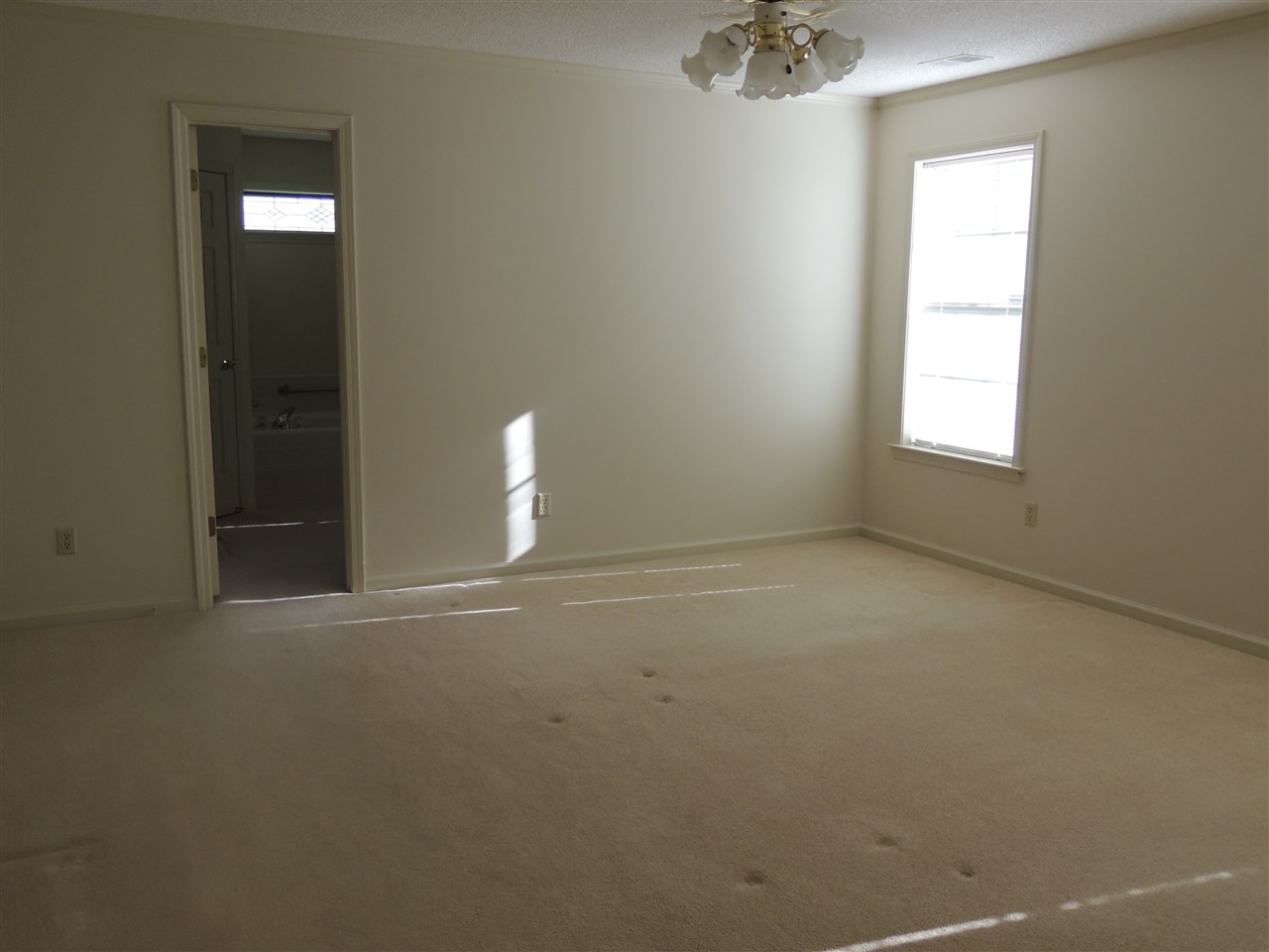 7009 Deerfield Road Bartlett, TN 38135 - Photo 9 of 25 Gallery Image 9