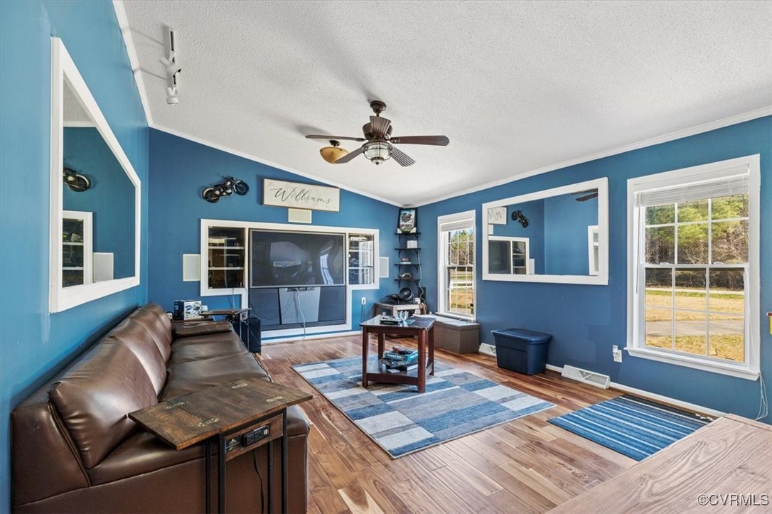 18436 Wakefield Road Courtland, VA 23837 - Photo 36 of 50 Living area with wood finished floors, lofted ceil