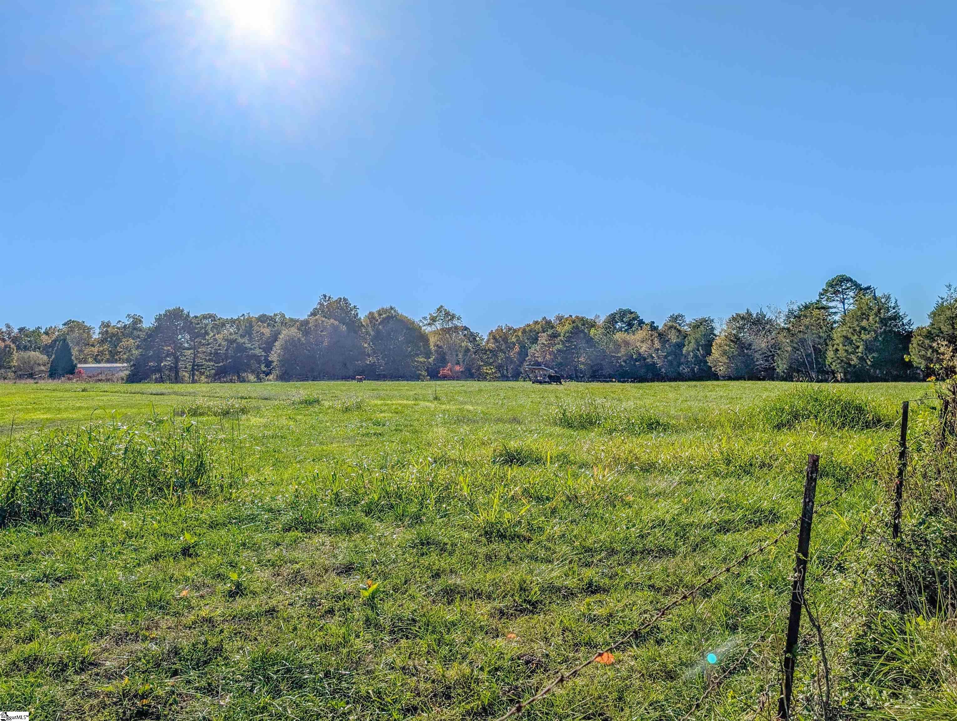 6025 Mountain View Road Taylors, SC 29687 - Photo 40 of 43