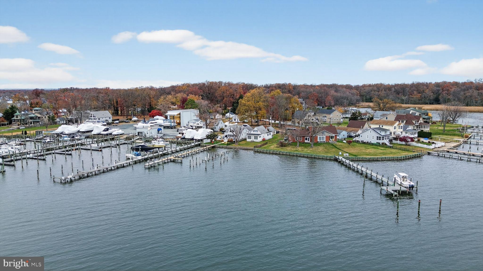 920 Seneca Park Road Middle River, MD 21220 - Photo 17 of 60 a view of a lake with boats and trees in the background