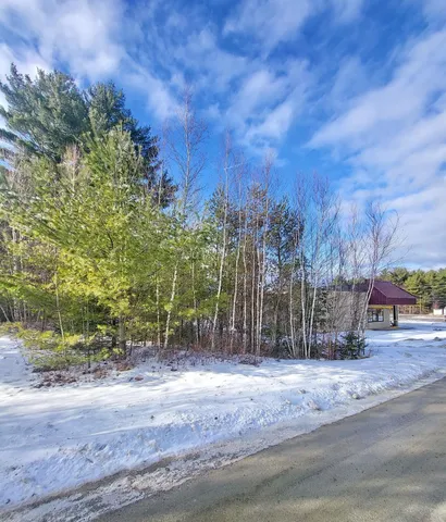$102,500 | Tbd Little River Road, Twin Mountain, NH 03595